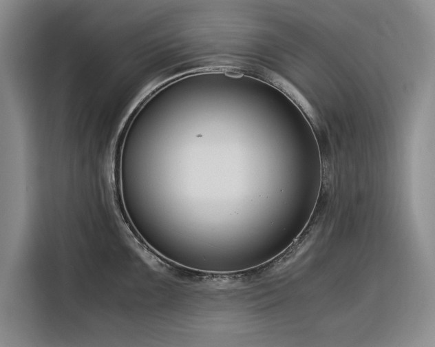 X0000116391099200912091429