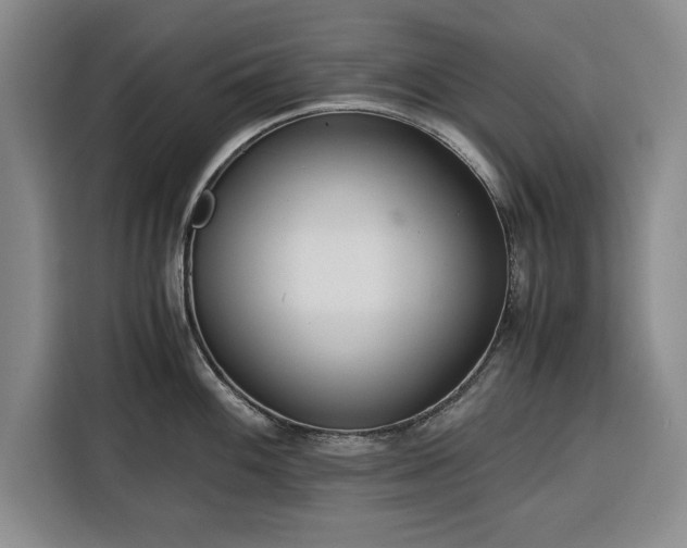 X0000116391100200912091429