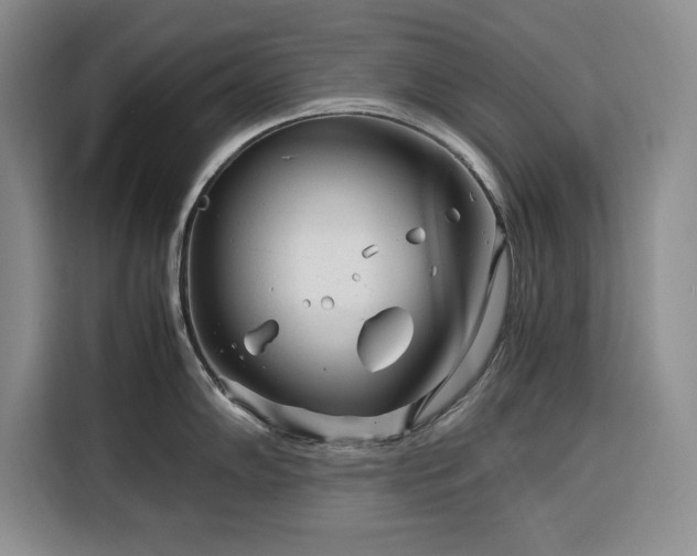 X0000116391102200912091429
