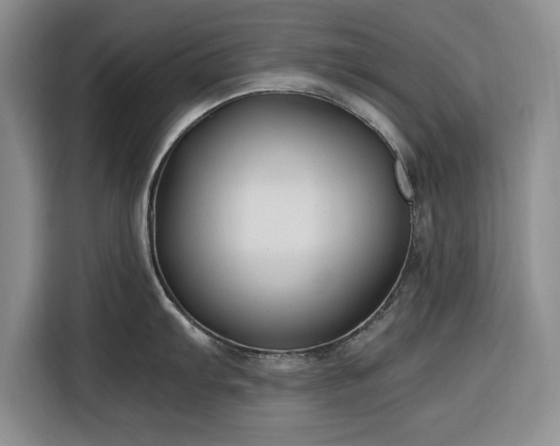 X0000116391103200912091429