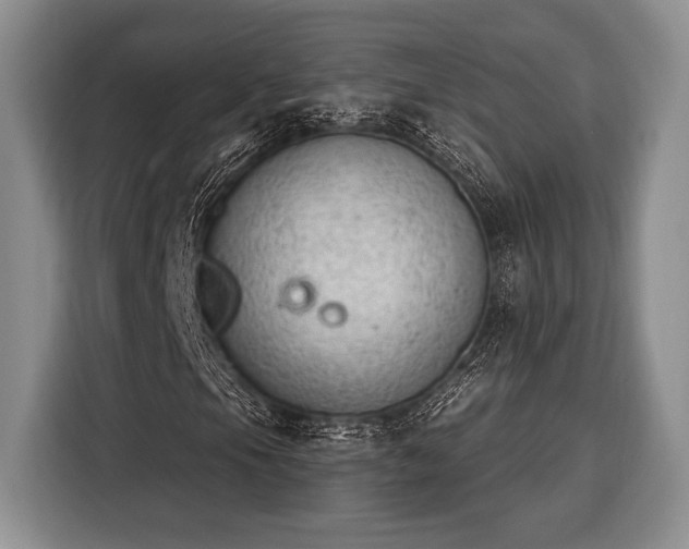 X0000116391105200912091429