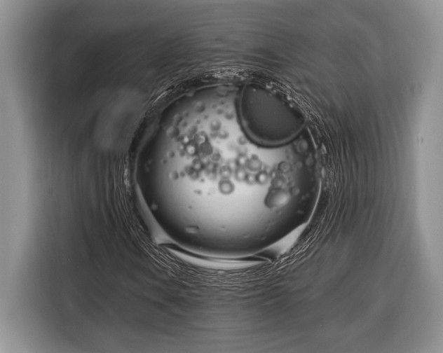 X0000116391106200912091429