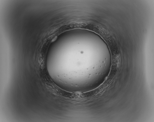 X0000116391109200912091429