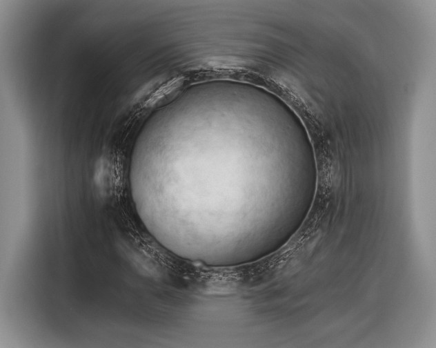 X0000116391110200912091429