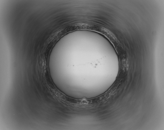 X0000116391111200912091429