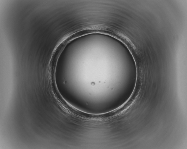 X0000116391114200912091429