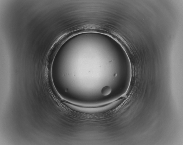 X0000116391115200912091429