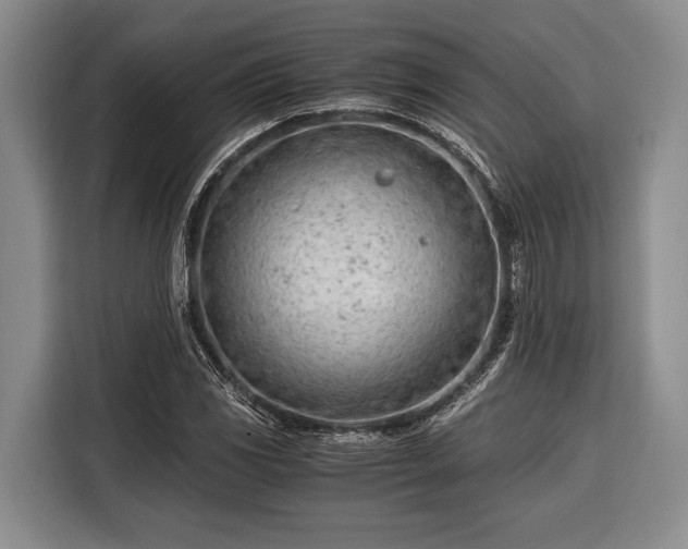 X0000116391117200912091429
