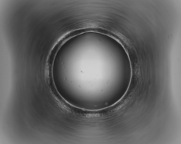 X0000116391118200912091429