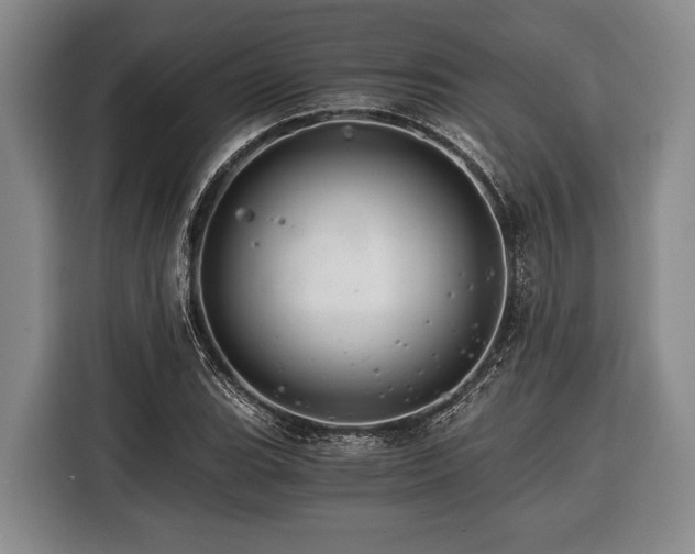 X0000116391119200912091429