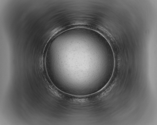 X0000116391121200912091429