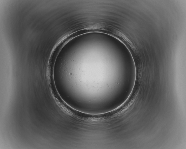 X0000116391122200912091429