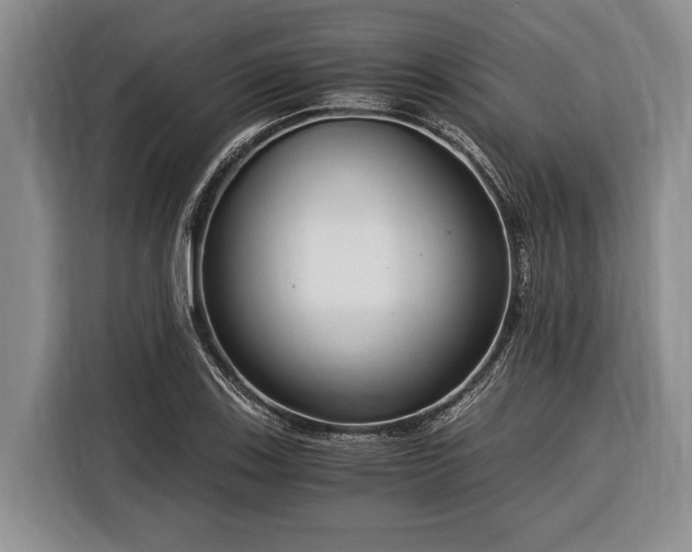 X0000116391123200912091429