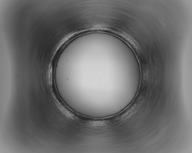 X0000116391126200912091429