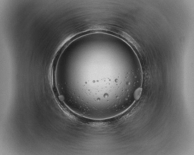 X0000116391127200912091429
