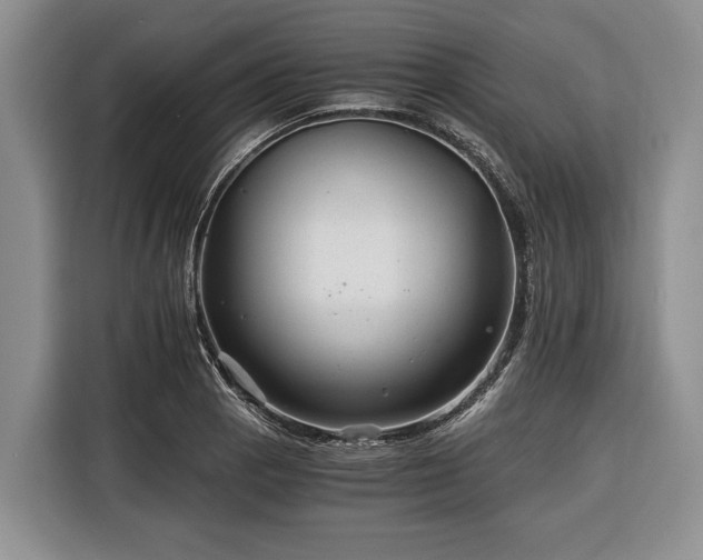X0000116391129200912091429