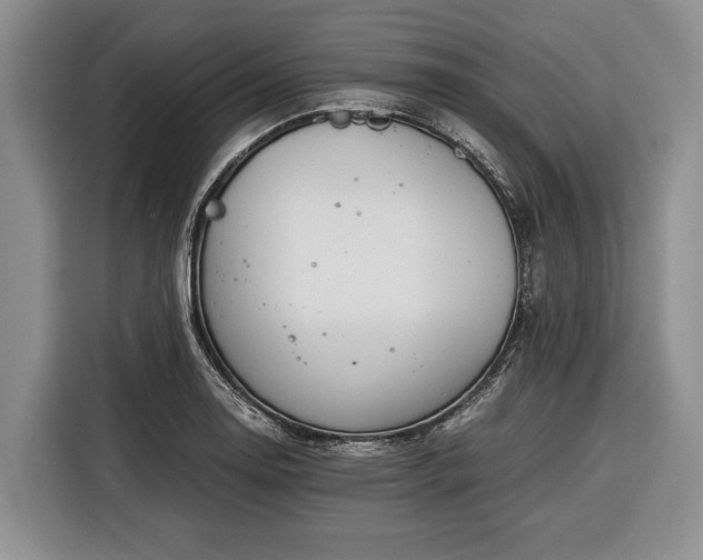 X0000116391130200912091429
