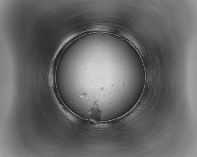 X0000116391131200912091429