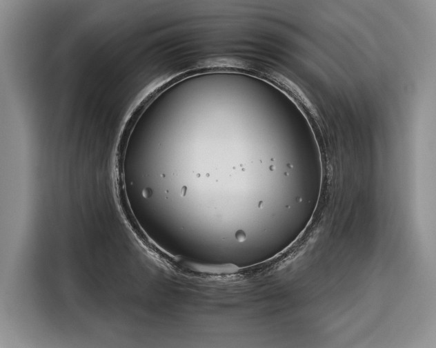 X0000116391133200912091429