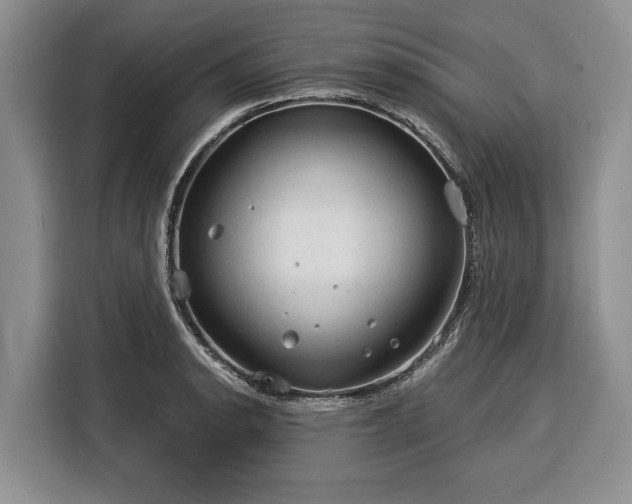 X0000116391134200912091429