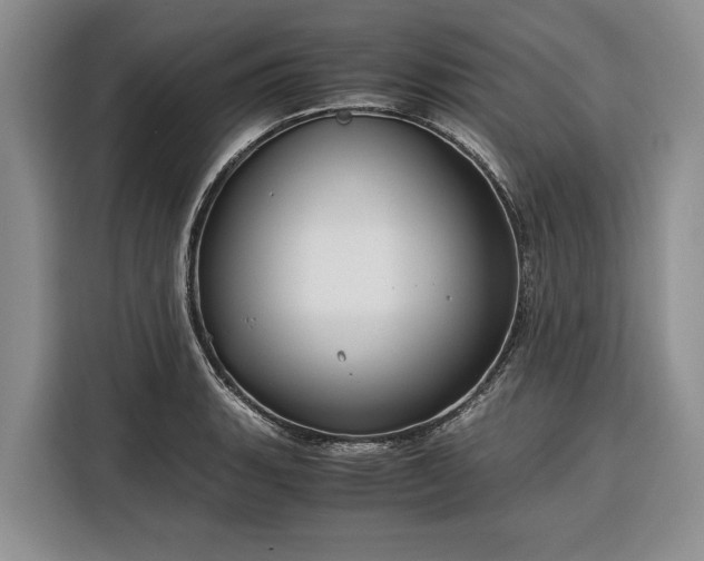 X0000116391135200912091429