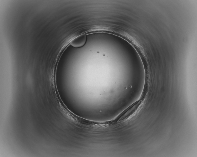 X0000116391137200912091429