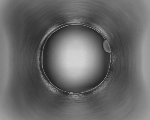 X0000116391138200912091429