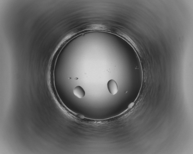 X0000116391139200912091429