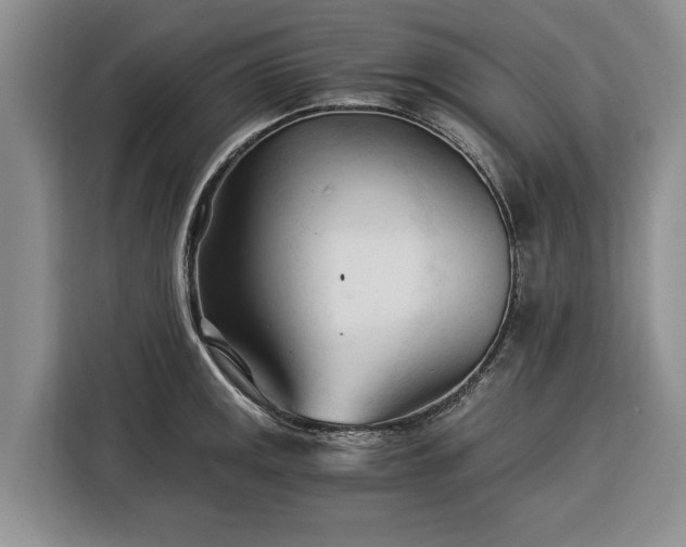 X0000116391141200912091429