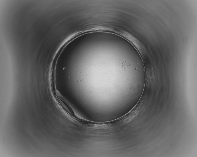 X0000116391142200912091429