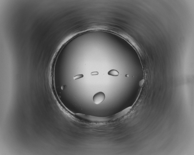X0000116391143200912091429