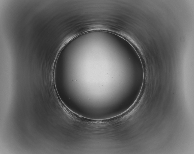 X0000116391145200912091429