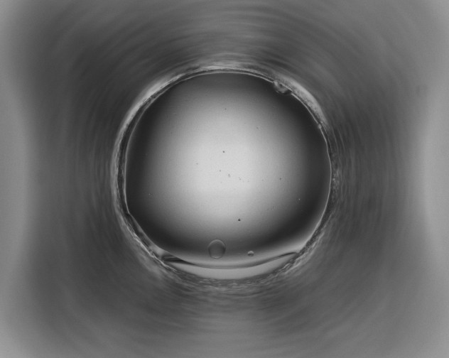 X0000116391146200912091429