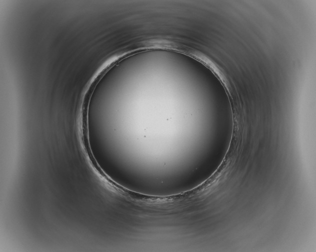 X0000116391147200912091429