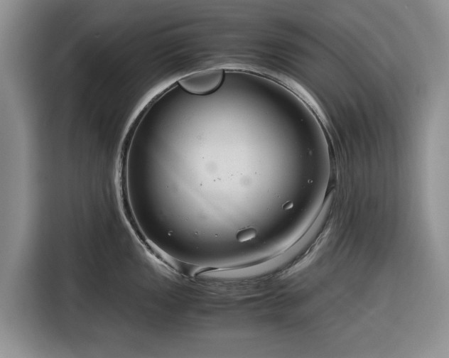 X0000116391149200912091429