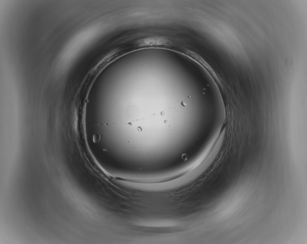 X0000116391151200912091429