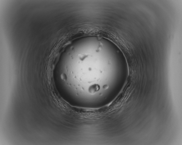 X0000116391153200912091429