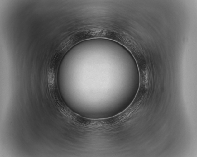X0000116391154200912091429