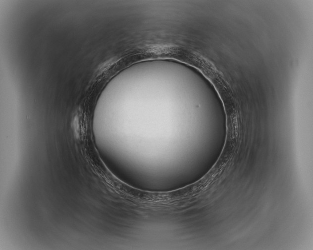 X0000116391158200912091429
