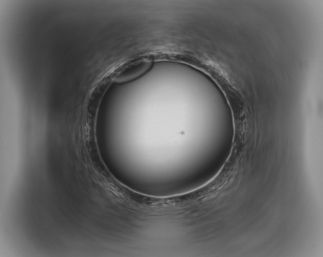 X0000116391159200912091429
