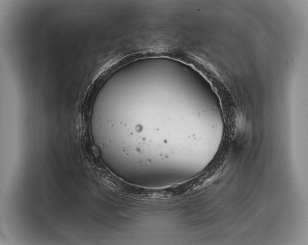 X0000116391160200912091429