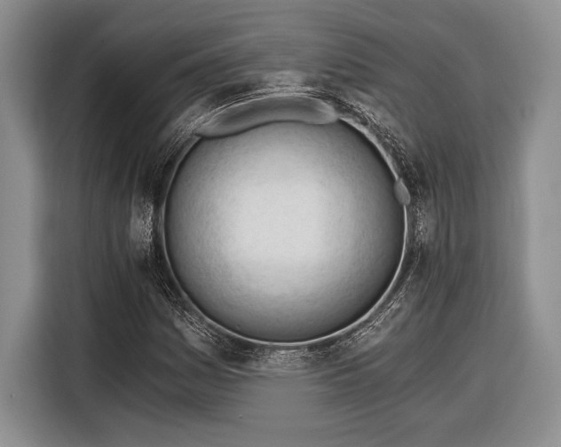 X0000116391161200912091429