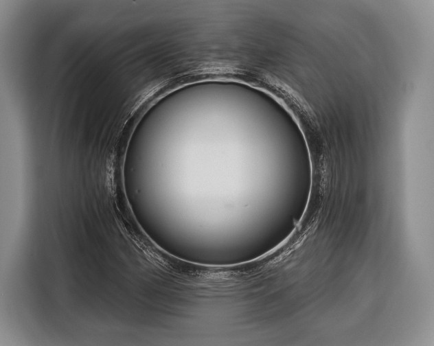 X0000116391162200912091429