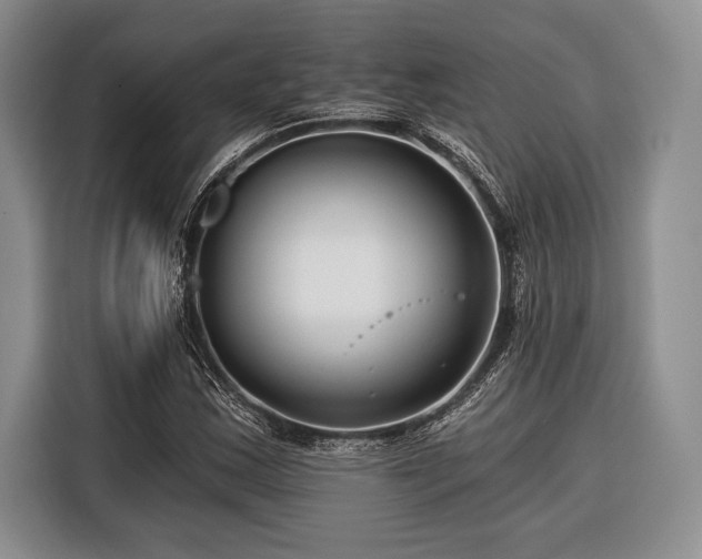X0000116391163200912091429