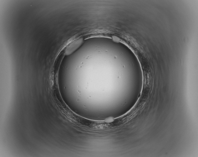 X0000116391165200912091429