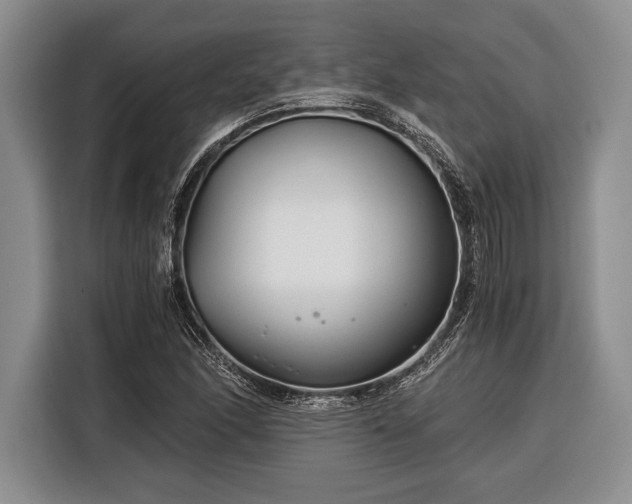 X0000116391166200912091429