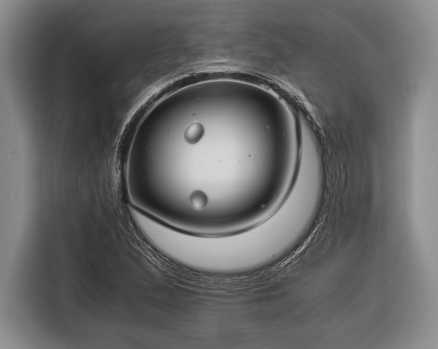 X0000116391167200912091429