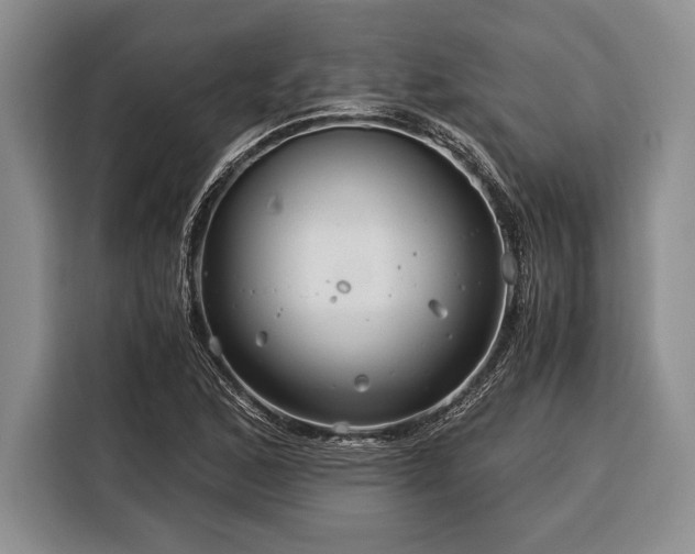 X0000116391168200912091429