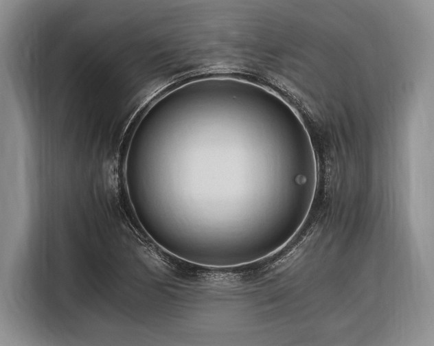X0000116391170200912091429
