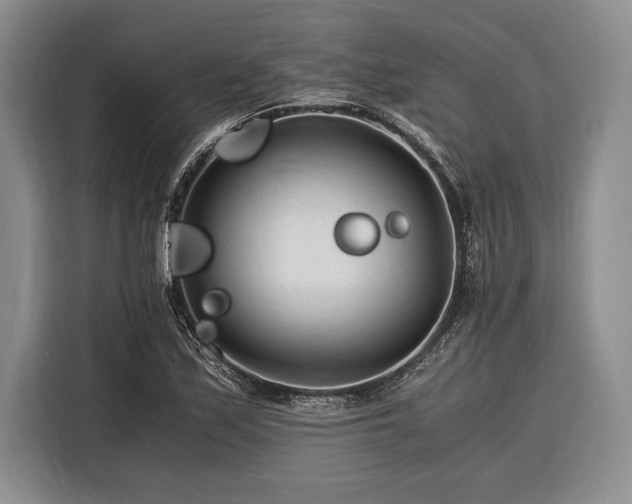 X0000116391171200912091429